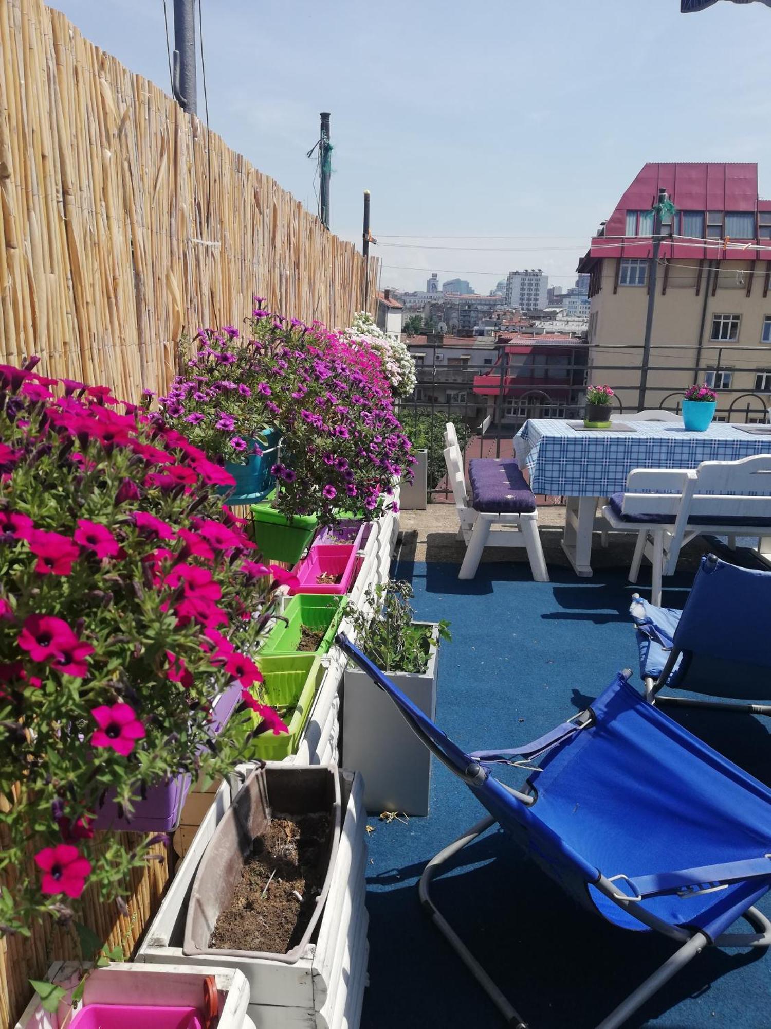 Hostel Inn Downtown بلغراد المظهر الخارجي الصورة